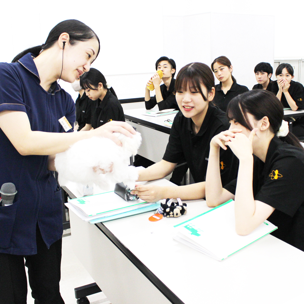 子犬と一緒に犬学を勉強！